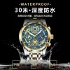 Swiss brand luxury skeleton men's watch waterproof luminous quartz watch live export bestseller one-piece consignment Application Scenario